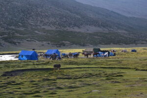 Le camp de Tchatchuntse Marha valley vallée ladakh Trek au ladakh entre femmes blog Inde montagne