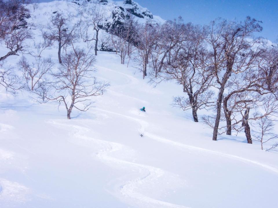  ski de randonnée au Japon hokkaido - voyage outdoor montagne ski