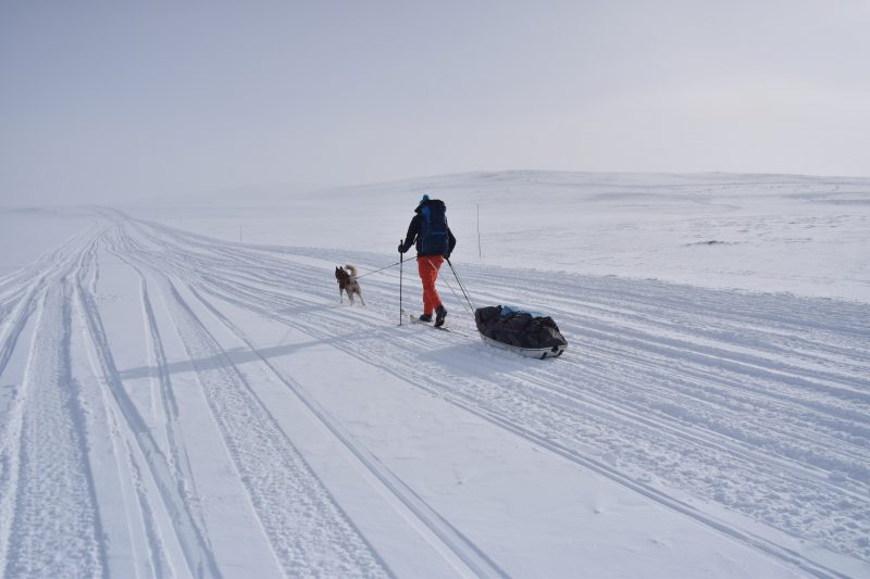 Voyage-laponie-finlande-ski-nordique-aventure - pulka